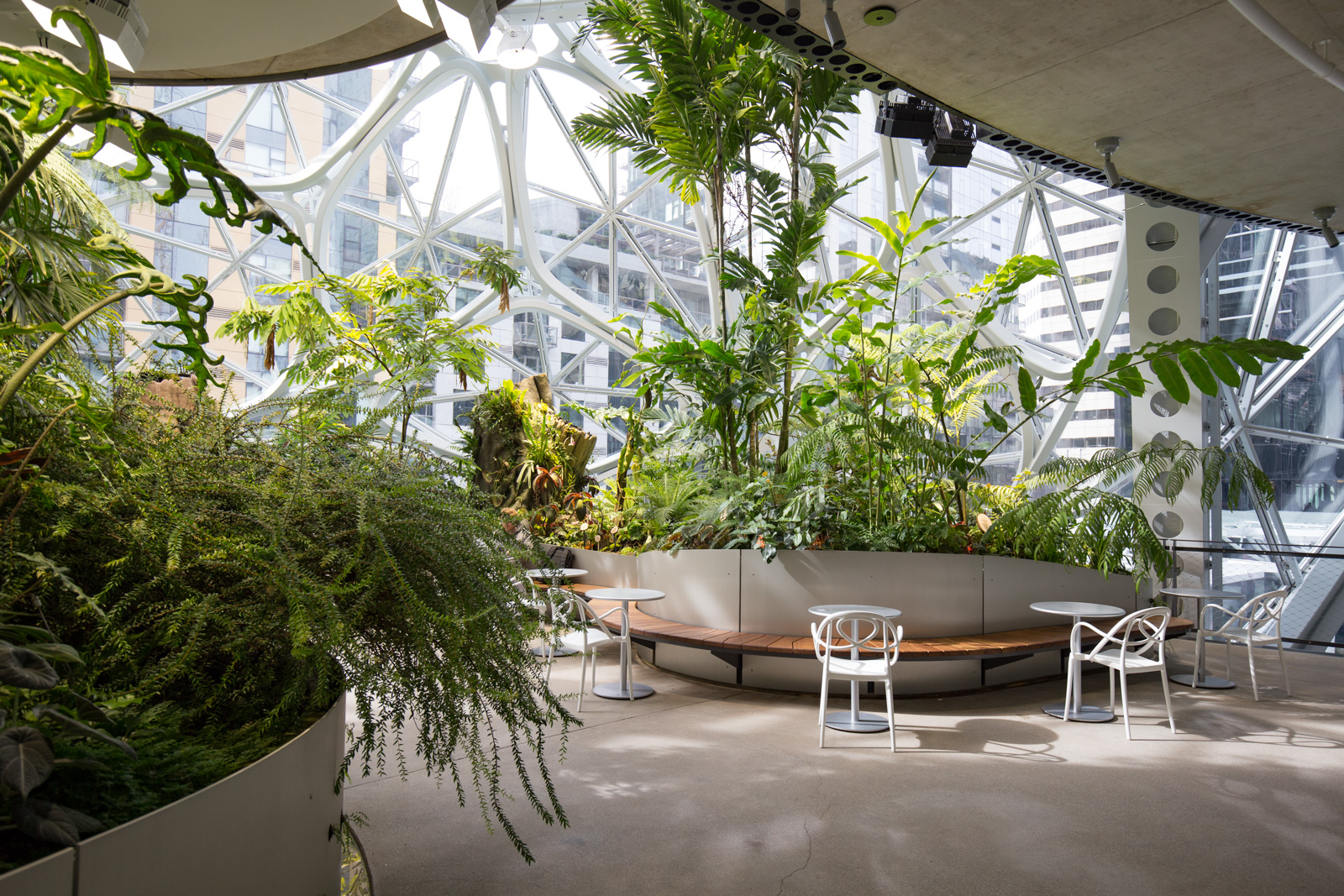 Inside the Amazon Spheres