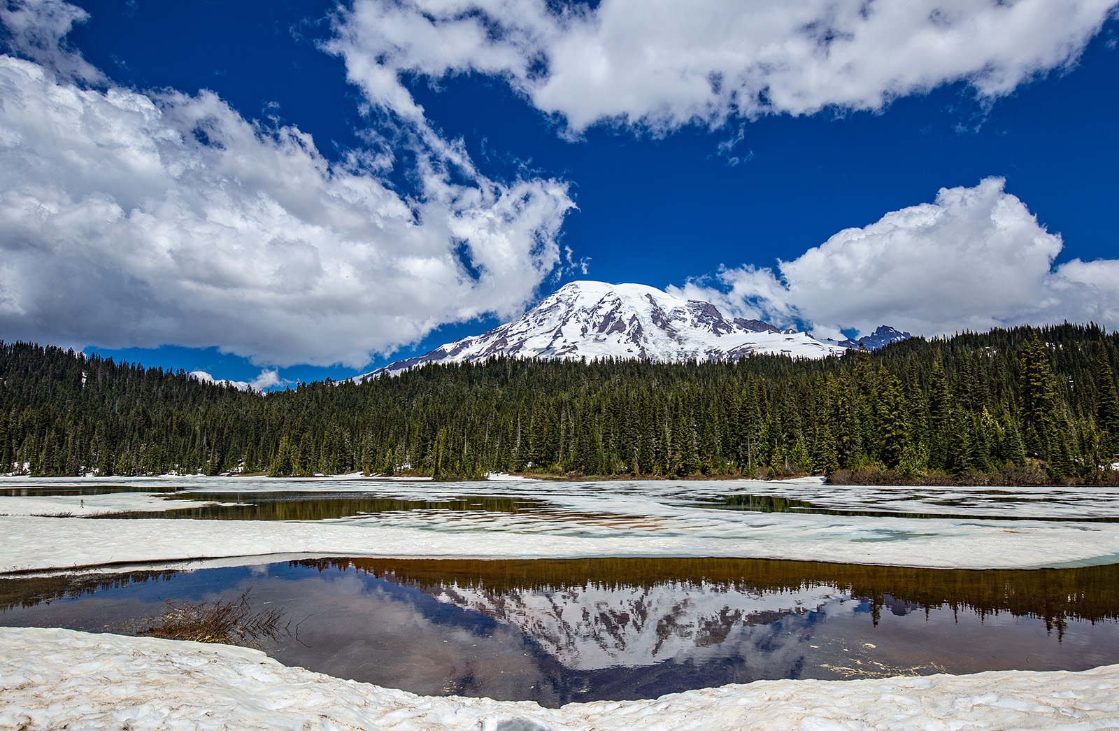 Mount Rainier in Reflection Lake